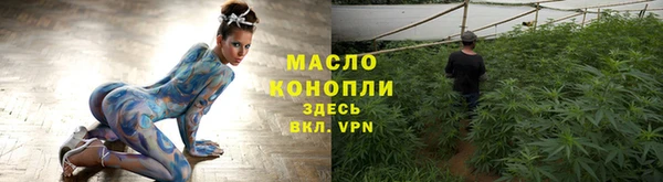 индика Осташков
