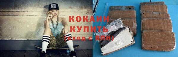 индика Осташков