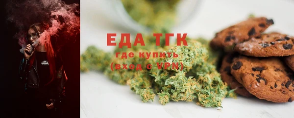 индика Осташков