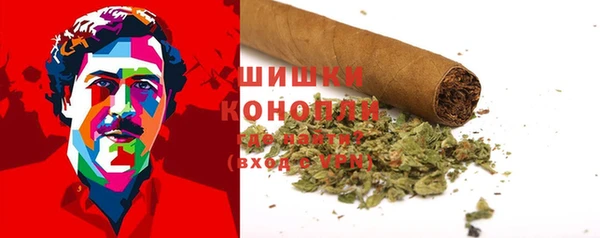 индика Осташков