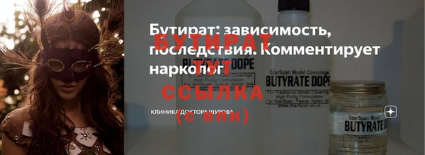 индика Осташков