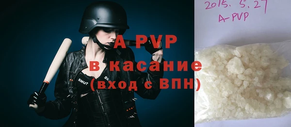 индика Осташков