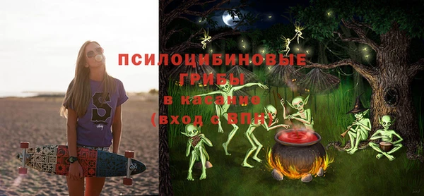 ECSTASY Осинники