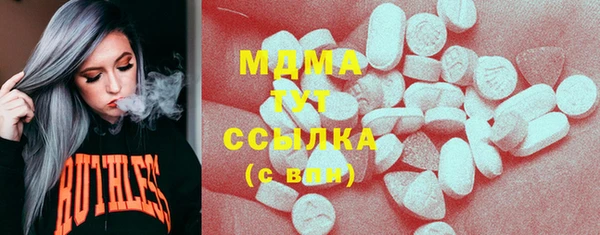 индика Осташков