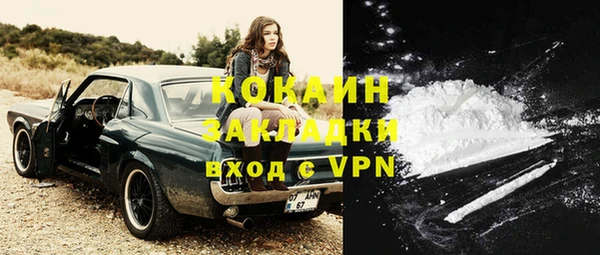 индика Осташков