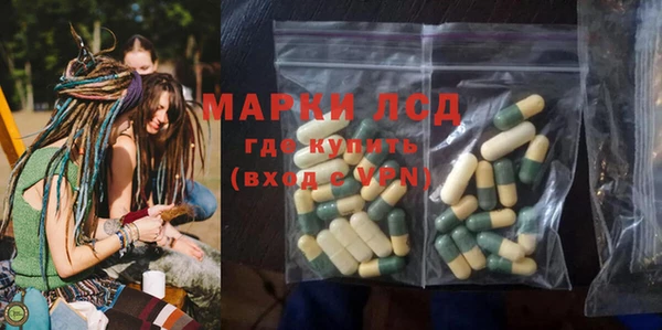 индика Осташков