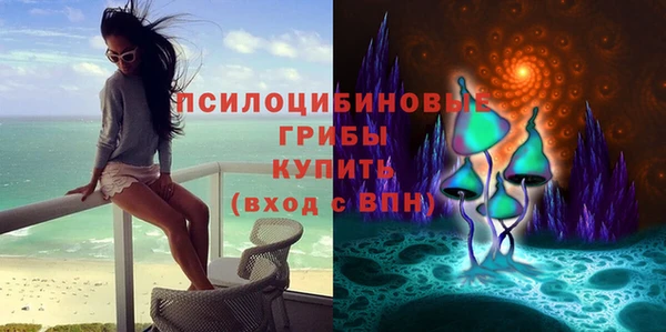 ECSTASY Осинники