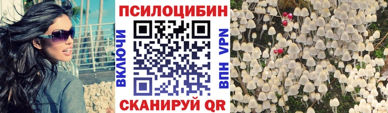 как найти закладки  Электроугли  Галлюциногенные грибы мицелий 